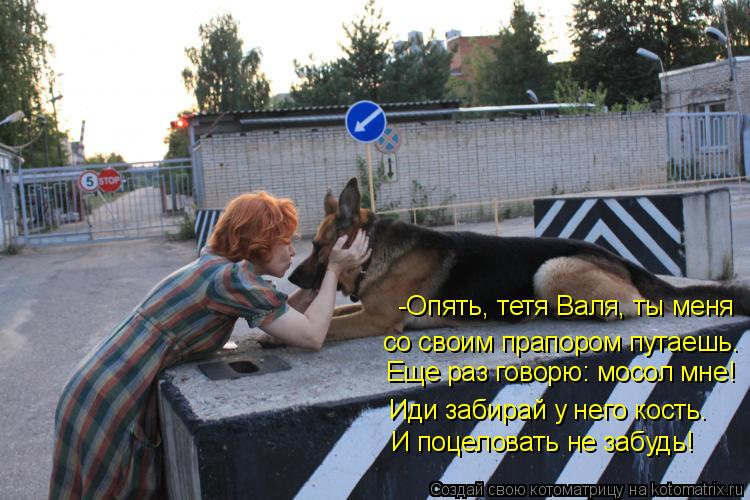 Котоматрица: -Опять, тетя Валя, ты меня со своим прапором путаешь. Еще раз говорю: мосол мне! Иди забирай у него кость. И поцеловать не забудь!