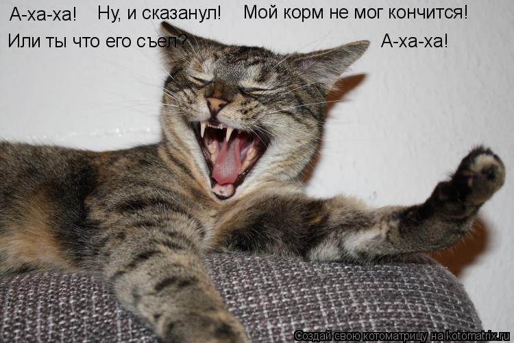 А-ха-ха! Ну, и сказанул! Мой корм не мог кончится! Или ты что его съел? А-ха-ха!... Котоматрица: А-ха-ха! Ну, и сказанул! Мой корм не мог кончится! Или ты что его съел? А-ха-ха!