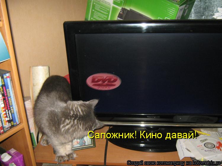 Сапожник! Кино давай!... Котоматрица: Сапожник! Кино давай!