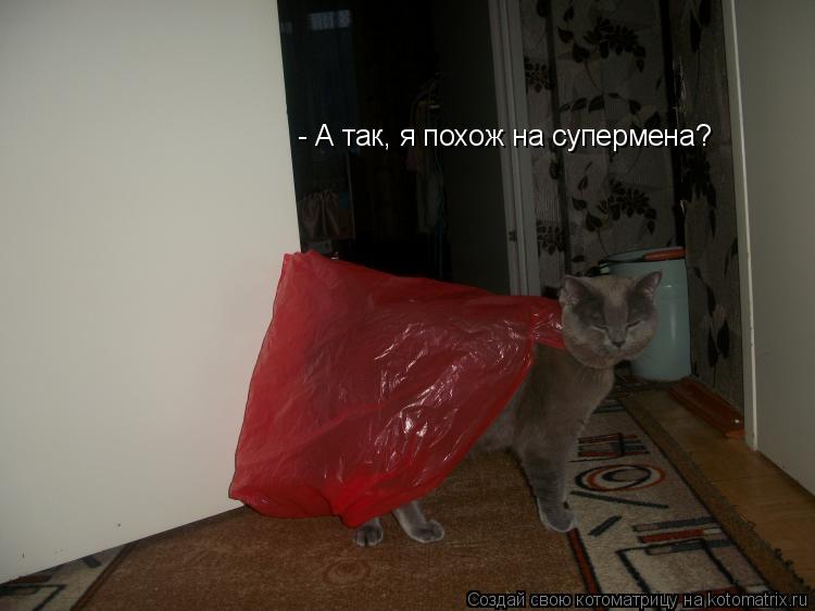 Котоматрица: - А так, я похож на супермена?