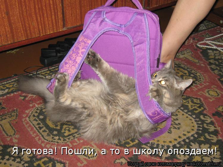 Я готова! Пошли, а то в школу опоздаем!... Котоматрица: Я готова! Пошли, а то в школу опоздаем!
