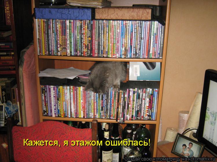Кажется, я этажом ошиблась!... Котоматрица: Кажется, я этажом ошиблась!