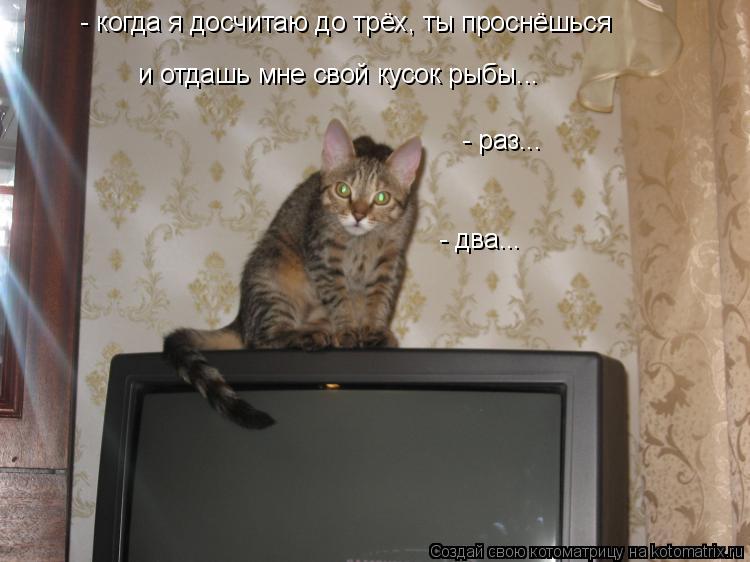 Котоматрица: - когда я досчитаю до трёх, ты проснёшься  и отдашь мне свой кусок рыбы... - раз... - два...