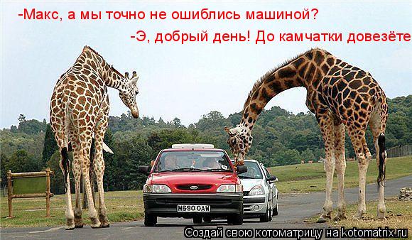 Котоматрица: -Макс, а мы точно не ошиблись машиной? -Э, добрый день! До камчатки довезёте?