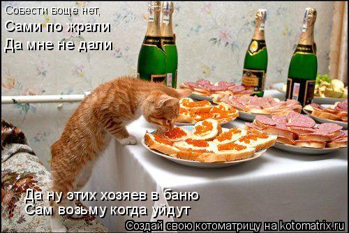 Котоматрица: Совести воще нет, Сами по жрали Да мне не дали Да ну этих хозяев в баню Сам возьму когда уйдут