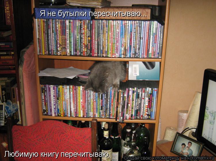 Котоматрица: Я не бутылки пересчитываю... Любимую книгу перечитываю.