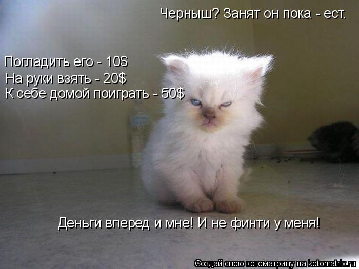 Котоматрица: Черныш? Занят он пока - ест. Погладить его - 10$ На руки взять - 20$ К себе домой поиграть - 50$ Деньги вперед и мне! И не финти у меня!
