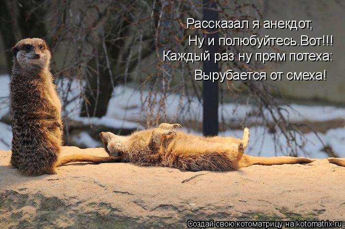 Ну и полюбуйтесь.Вот!!! Каждый раз ну прям потеха: Вырубается от смеха! Рассказал я анекдот,... Котоматрица: Ну и полюбуйтесь.Вот!!! Каждый раз ну прям потеха: Вырубается от смеха! Рассказал я анекдот,