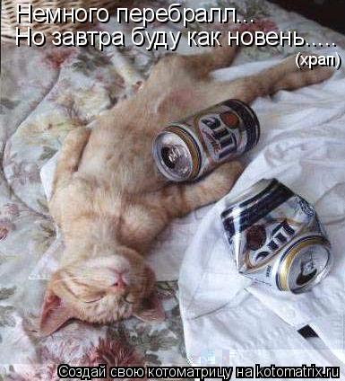 Котоматрица: Немного перебралл... Но завтра буду как новень..... (храп)