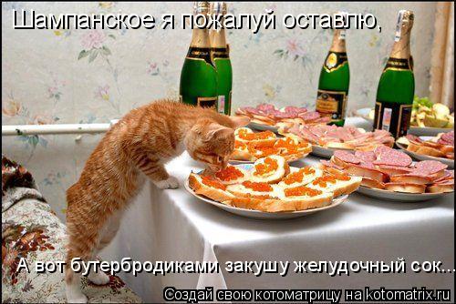 Котоматрица: Шампанское я пожалуй оставлю, А вот бутербродиками закушу желудочный сок...