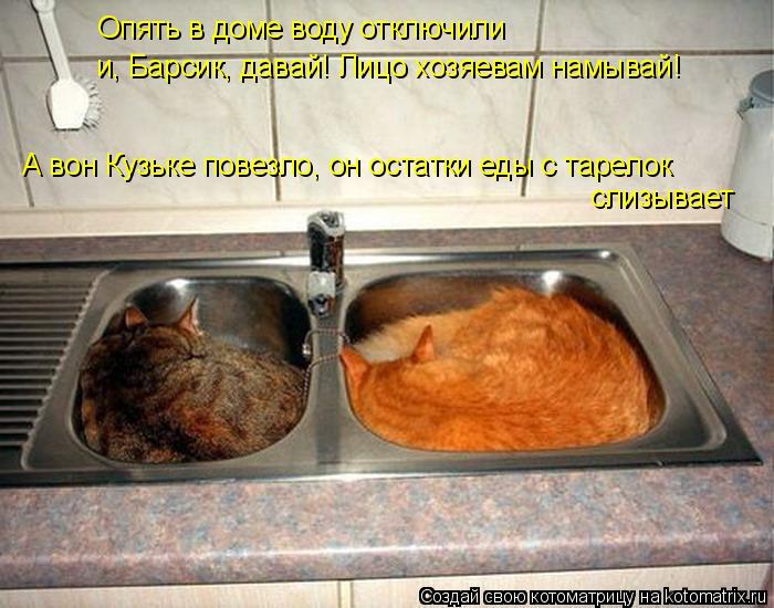 Котоматрица: Опять в доме воду отключили и, Барсик, давай! Лицо хозяевам намывай! А вон Кузьке повезло, он остатки еды с тарелок слизывает