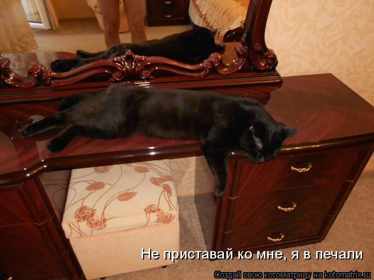 Котоматрица: Не приставай ко мне, я в печали