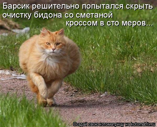 Барсик решительно попытался скрыть очистку бидона со сметаной кроссом в сто меров...... Котоматрица: Барсик решительно попытался скрыть очистку бидона со сметаной кроссом в сто меров...