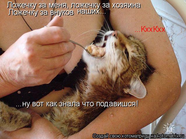 Котоматрица: Ложечку за меня, ложечку за хозяина Ложечку за внуков ...КххКхх ...ну вот как знала что подавишся! наших...