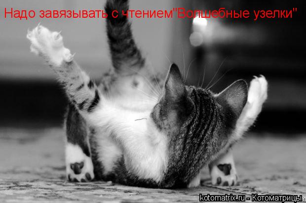 Котоматрица: Надо завязывать с практикой по книжки"Волшебные узелки" Надо завязывать с чтением"Волшебные узелки"