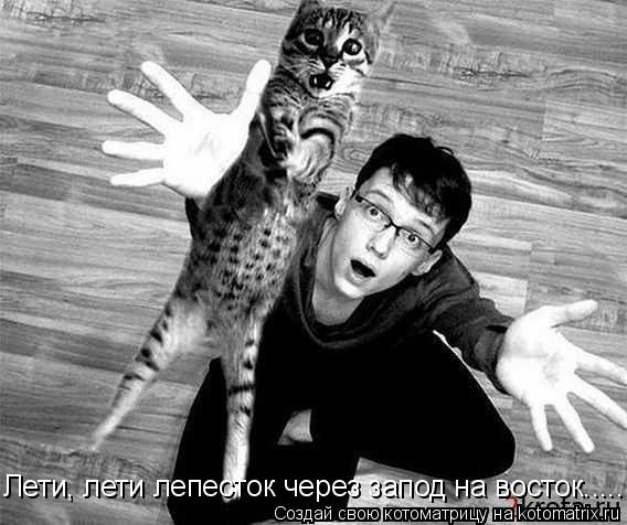 Котоматрица: Лети, лети лепесток через запод на восток.....