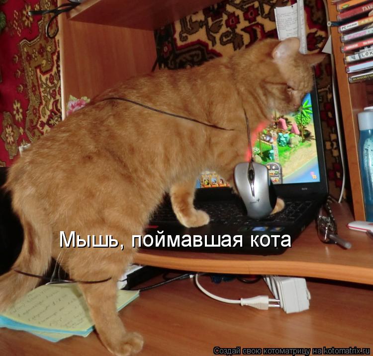 Котоматрица: Мышь, поймавшая кота