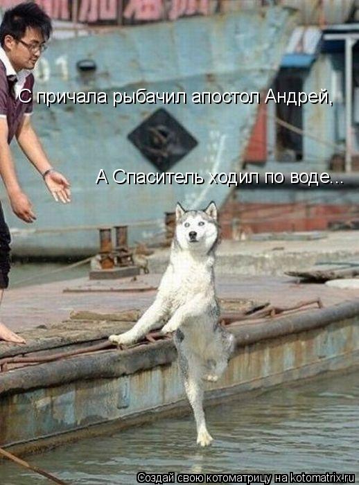 Котоматрица: С причала рыбачил апостол Андрей, А Спаситель ходил по воде...