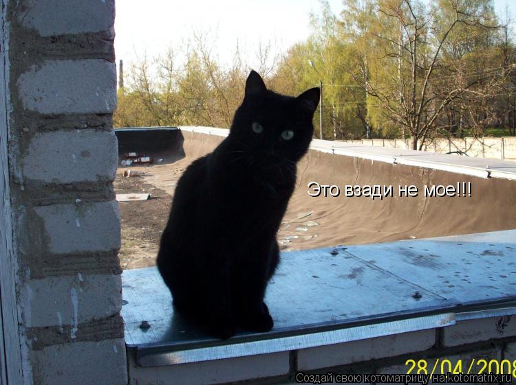 Котоматрица: Это взади не мое!!!