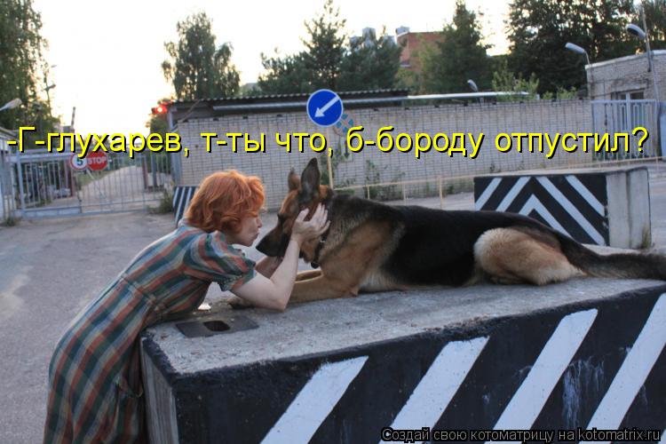 Котоматрица: -Г-глухарев, т-ты что, б-бороду отпустил?