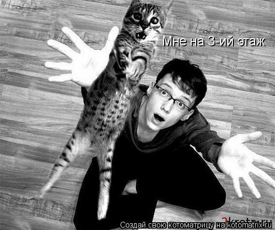 Котоматрица: Мне на 3-ий этаж