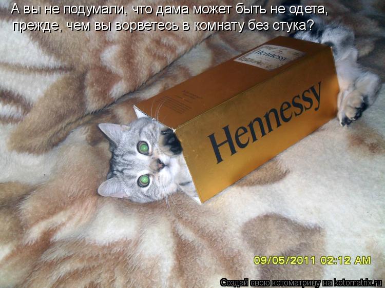 Котоматрица: А вы не подумали, что дама может быть не одета, прежде, чем вы ворветесь в комнату без стука?