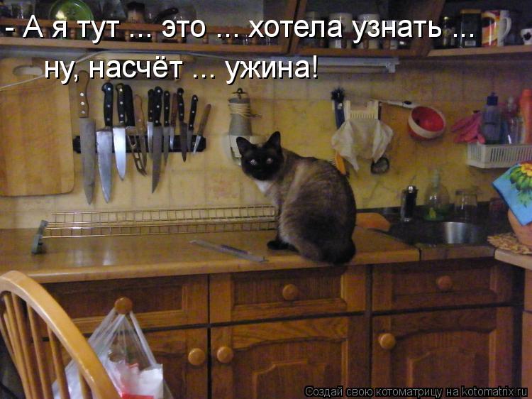 Котоматрица: - А я тут ... это ... хотела узнать ... ну, насчёт ... ужина!