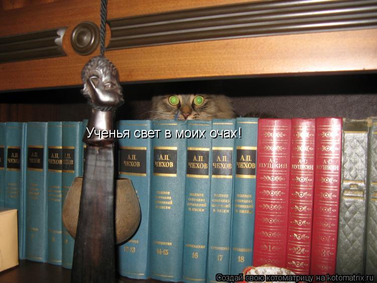 Котоматрица: Ученья свет в моих очах!