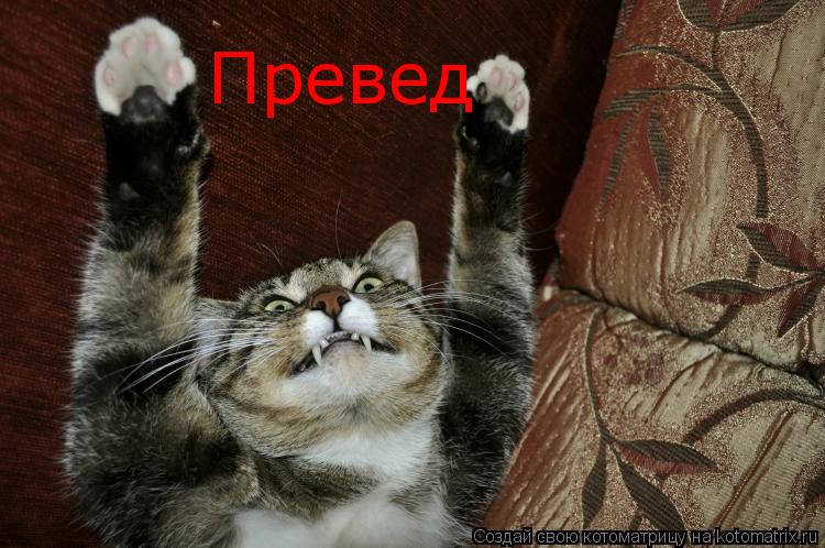Котоматрица: Превед