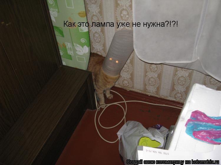 Котоматрица: Как это лампа уже не нужна?!?!