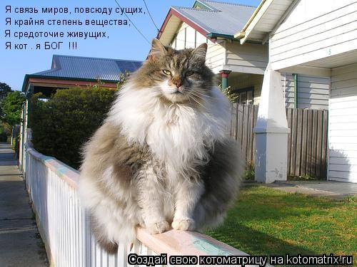 Котоматрица: Я связь миров, повсюду сущих, Я крайня степень вещества; Я средоточие живущих, Я кот – я БОГ  !!!