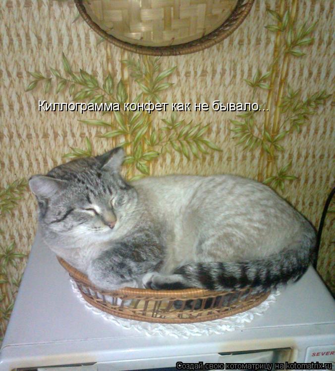 Котоматрица: Киллограмма конфет как не бывало...