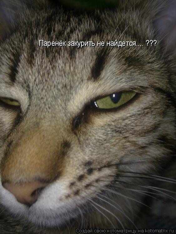 Котоматрица: Паренёк закурить не найдется.... ???