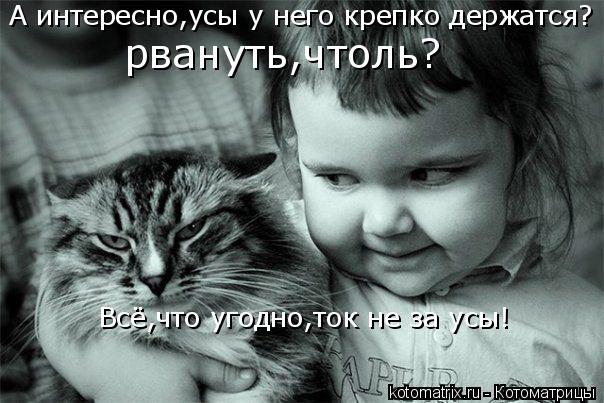 Котоматрица: А интересно,усы у него крепко держатся? рвануть,чтоль? Всё,что угодно,ток не за усы!