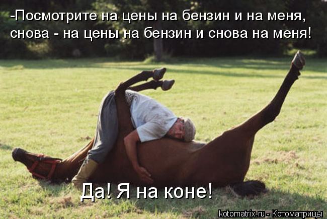 Котоматрица: -Посмотрите на цены на бензин и на меня, снова - на цены на бензин и снова на меня! Да! Я на коне!