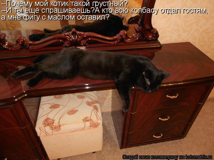Котоматрица: --Почему мой котик такой грустный? --И ты ещё спрашиваешь?А кто всю колбасу отдал гостям, а мне фигу с маслом оставил?