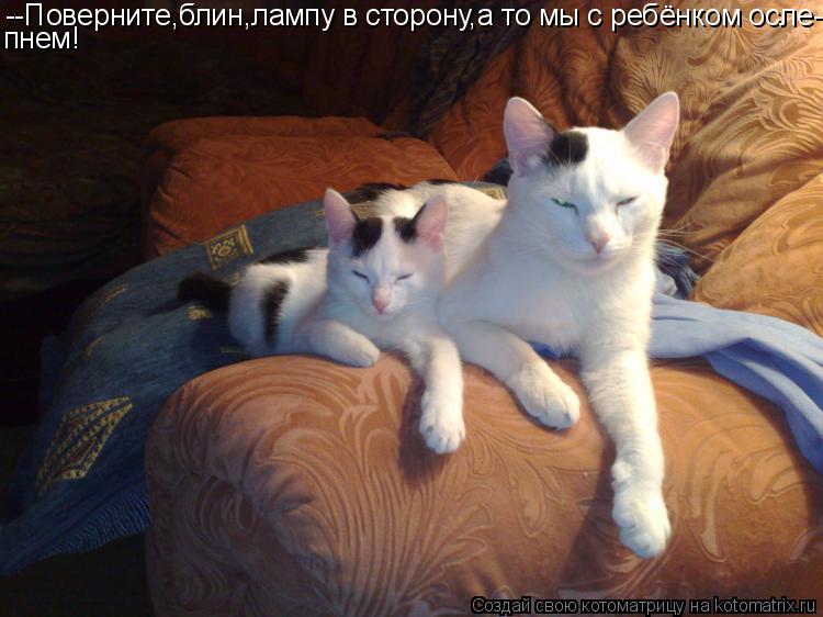 Котоматрица: --Поверните,блин,лампу в сторону,а то мы с ребёнком осле- пнем!