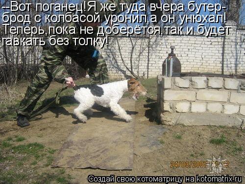 Котоматрица: --Вот поганец!Я же туда вчера бутер- брод с колбасой уронил,а он унюхал! Теперь,пока не доберётся,так и будет гавкать без толку!