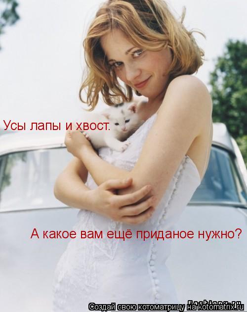 Усы лапы и хвост. А какое вам ещё приданое нужно?... Котоматрица: Усы лапы и хвост. А какое вам ещё приданое нужно?