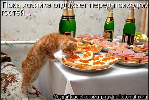 Котоматрица: Пока хозяйка отдыхает перед приходом гостей...