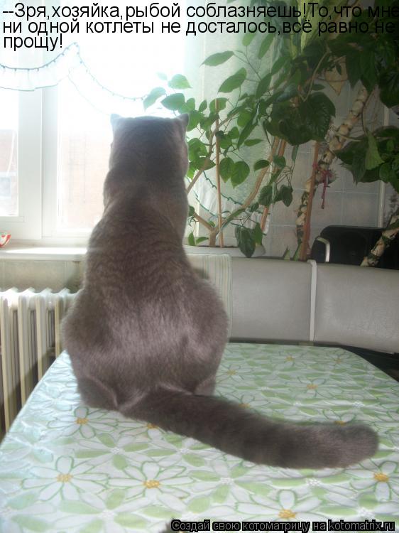Котоматрица: --Зря,хозяйка,рыбой соблазняешь!То,что мне ни одной котлеты не досталось,всё равно не прощу!