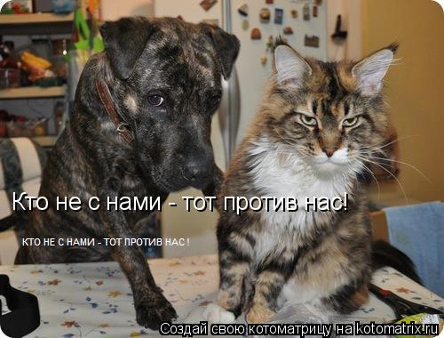 Кто не с нами - тот против нас!... Котоматрица: Кто не с нами - тот против нас!