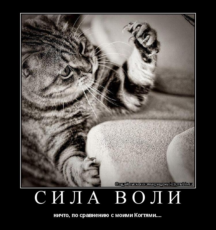 Котоматрица: СИЛА ВОЛИ ничто, по сравнению с моими Когтями....