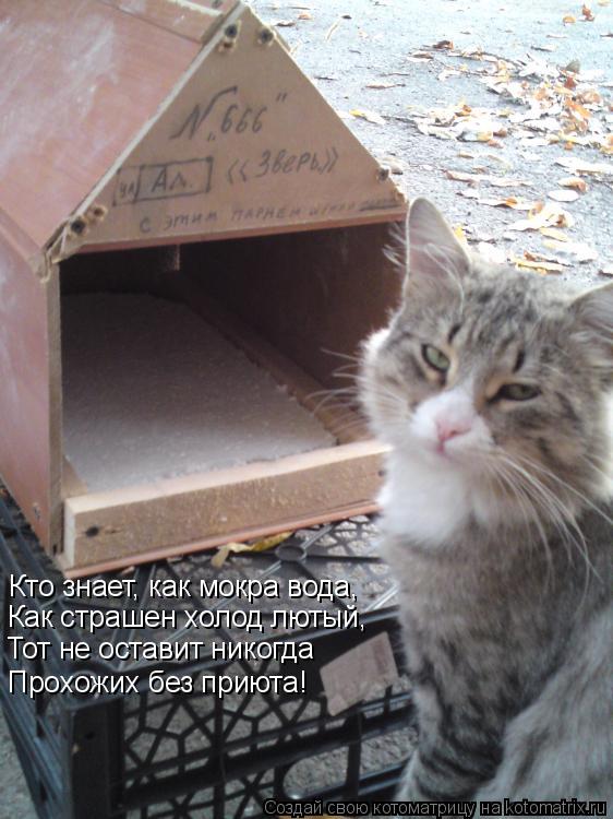 Кто знает, как мокра вода, Как страшен холод лютый, Тот не оставит никогда Прохожих без приюта!... Котоматрица: Кто знает, как мокра вода, Как страшен холод лютый, Тот не оставит никогда Прохожих без приюта!