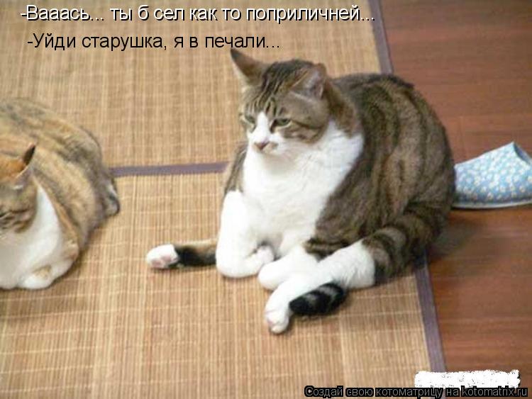 -Вааась... ты б сел как то поприличней... -Уйди старушка, я в печали...... Котоматрица: -Вааась... ты б сел как то поприличней... -Уйди старушка, я в печали...