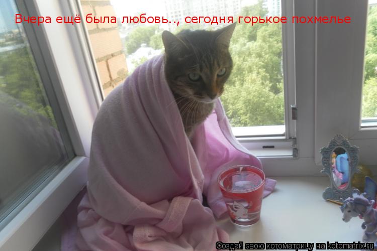 Вчера ещё была любовь...., сегодня горькое похмелье... Вчера ещё была любовь.., сегодня горькое похме... Котоматрица: Вчера ещё была любовь...., сегодня горькое похмелье... Вчера ещё была любовь.., сегодня горькое похмелье