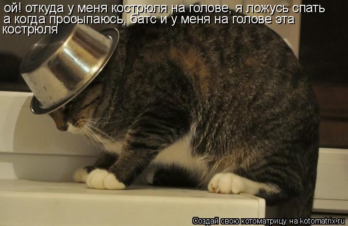 ой! откуда у меня кострюля на голове, я ложусь спать а когда просыпаюсь, батс и у меня на голове эта... Котоматрица: ой! откуда у меня кострюля на голове, я ложусь спать а когда просыпаюсь, батс и у меня на голове эта кострюля