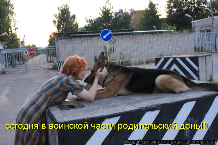 Котоматрица: сегодня в воинской части родительский день!!!