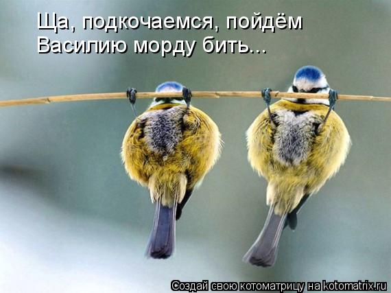 Ща, подкочаемся, пойдём Василию морду бить...... Котоматрица: Ща, подкочаемся, пойдём Василию морду бить...