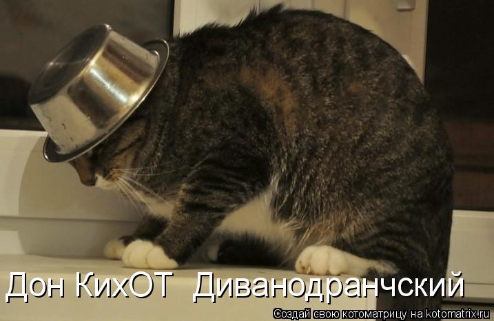 Котоматрица: Дон КихОТ  Диванодранчский